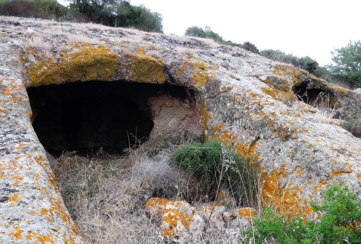 É uma oportunidade extraordinária para a Sardenha pré-histórica. A Domus de Janas entra oficialmente no coração da cultura mundial, disse o professor Giuseppa Tanda, diretor científico do Centro de Estudos de Identidade e Memória (Cesim).