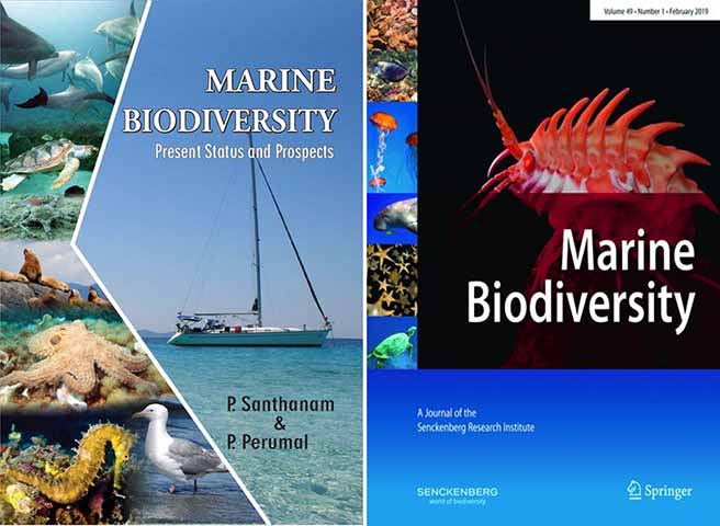 O caso, publicado na revista Marine Biodiversity, é o primeiro desse tipo no Caribe e chamou atenção por o animal ter sobrevivido até a fase adulta, apesar da coloração incomum que dificulta a camuflagem.