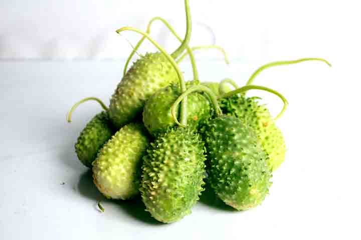 Originário da África, mais especificamente da parte Oriental deste continente, a hortaliça foi introduzida no Brasil pelos escravos. Além disso, este tipo de alimento pertence à família das cucurbitáceas, a mesma do pepino e da melancia.