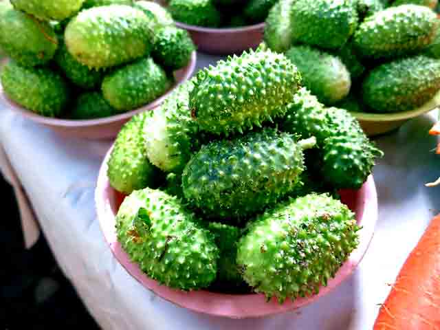 É essencial lavar bem o maxixe antes do consumo para remover quaisquer resíduos de pesticidas ou sujeira. Entre os cuidados, é melhor optar por produtos orgânicos, que podem minimizar a exposição a produtos químicos.