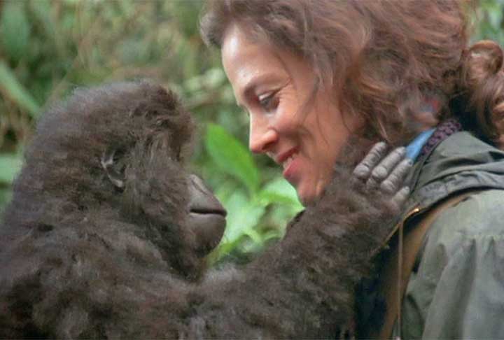 Mas a atriz estrelou vários outros longas famosos, como “Nas Montanhas dos Gorilas” (1988), “Uma Secretária de Futuro” (1988), “Tempestade de Gelo” (1977) e “Copycat: A Vida Imita a Morte” (1995).