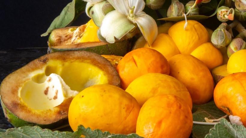 5 benefícios do pequi para a saúde e como prepará-lo