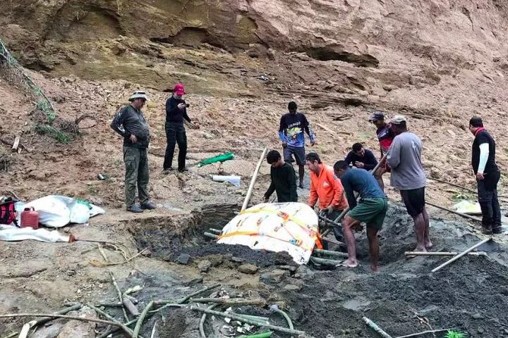 Fósseis da Stupendemys geographicus começaram a ser descobertos na década de 1970, mas foi a partir de achados mais recentes que os cientistas conseguiram montar uma visão mais completa de sua anatomia e ecologia.