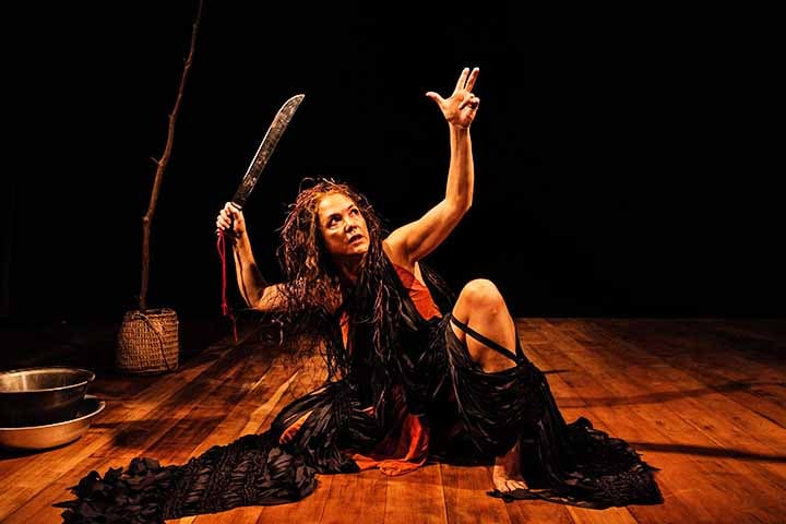 O enredo gira em torno de uma mulher enigmática, que não sabe bem de onde vem. Ela, então, é invadida por várias vozes, que se misturam e falam pelo seu corpo, em um monólogo que chama a atenção do público. 