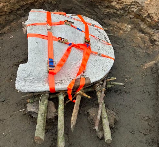 Devido ao tamanho e peso, o fóssil ainda não foi transportado para a capital, Rio Branco, mas está guardado em um acampamento à espera de um caminhão da Ufac.