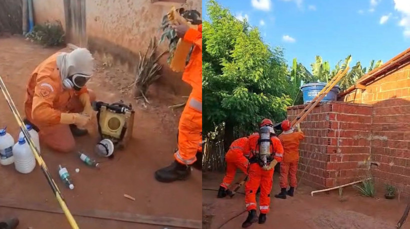 Devido a toxicidade do produto, a equipe que trabalhou na coleta do material precisou utilizar Equipamento de Proteção Individual (EPI) completo 