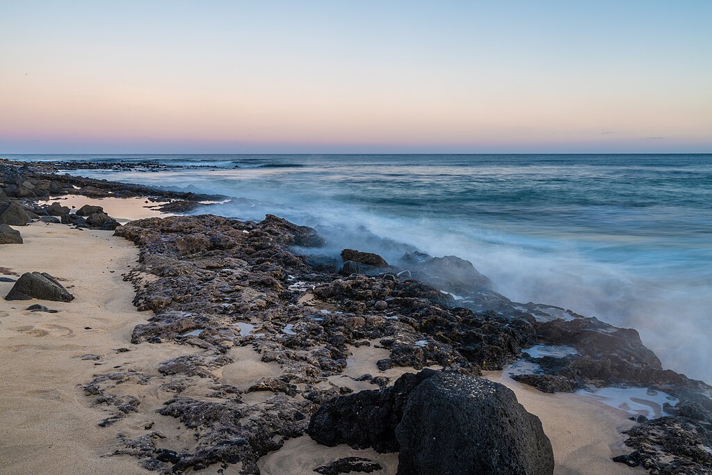 Em julho, seis exemplares de dragões azuis foram encontrados na areia da Praia de Famara, em Teguise, Lanzarote. 