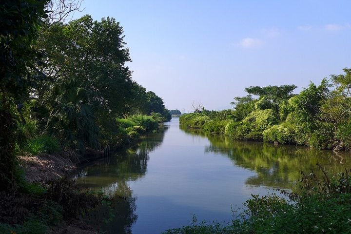 Administrada pela WWF desde os anos 1980, a reserva é uma referência em conservação e educação ambiental, com visitas guiadas e programas voltados para escolas e pesquisadores.