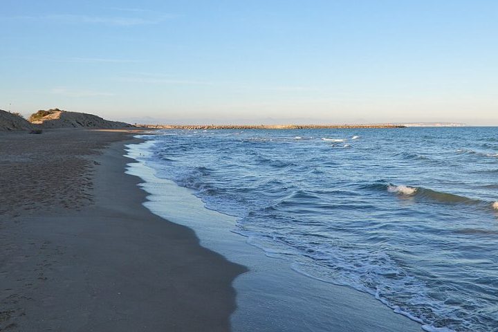 Dois exemplares da lesma marinha foram encontrados na Praia de Vivers, que fica em Guardamar del Segura, Alicante.