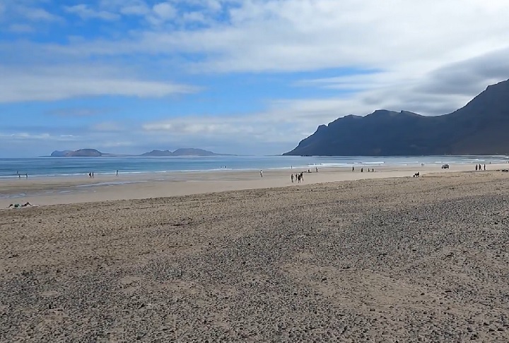 Na ocasião, a praia também foi fechada e as autoridades alertaram para a possibilidade de haver mais desses animais na água.