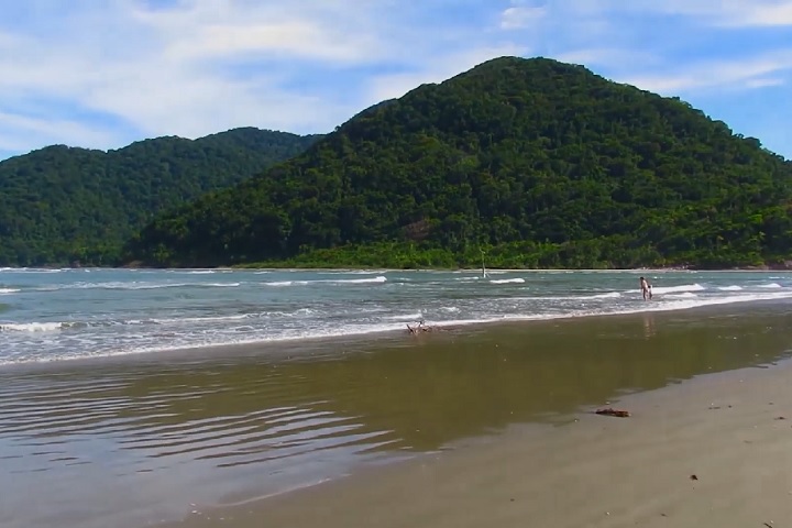 O Brasil também não está livre da presença dos dragões azuis. Em abril de 2025, um exemplar morto do molusco foi encontrado na Praia do Guaraú, litoral sul de São Paulo.