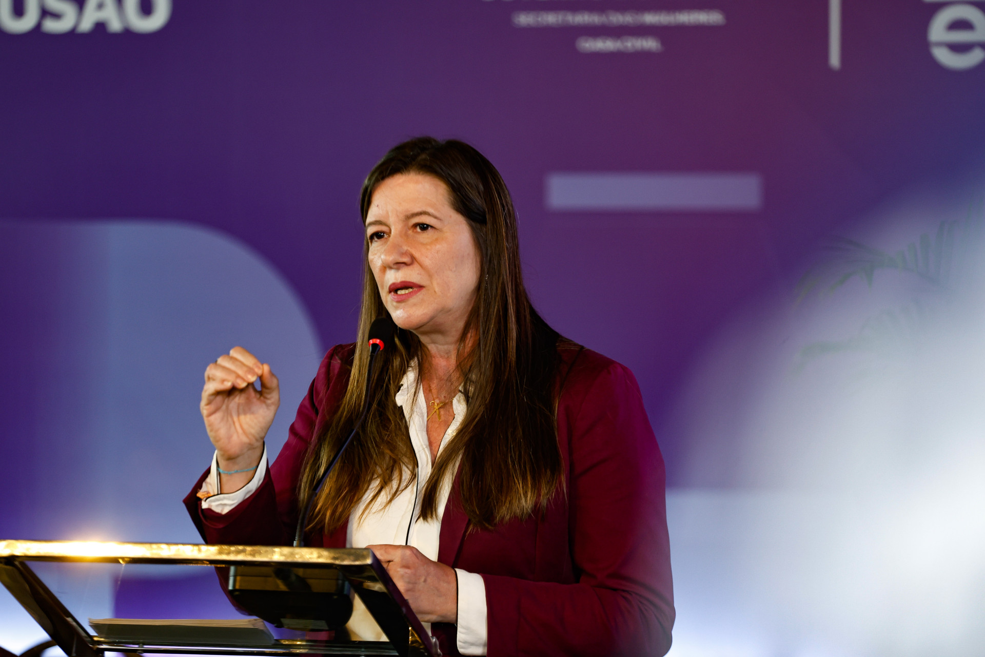 ￼LIA disse não acreditar que Cid voltará atrás da promessa de apoiar Elmano,  (Foto: DANIEL GALBER/ESPECIAL PARA O POVO)