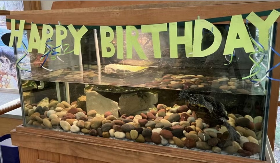 Sua história ganhou relevância mundial por evidenciar o impacto do descarte irregular de plásticos na natureza. O aniversário reforça campanhas de conscientização e educação ambiental, tornando-a um ícone na luta contra a poluição.