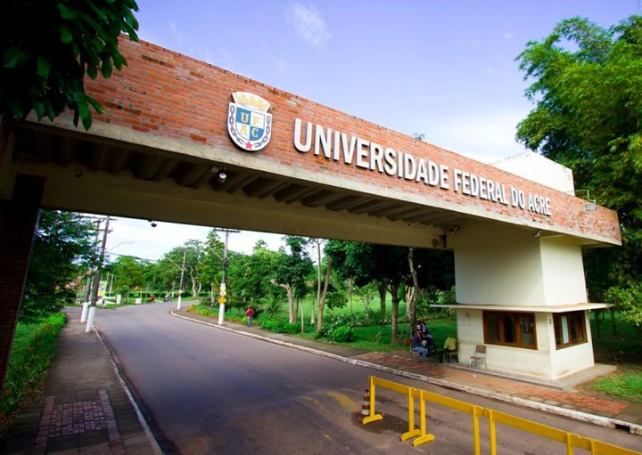 Após os estudos, o fóssil será levado ao laboratório de paleontologia da universidade.