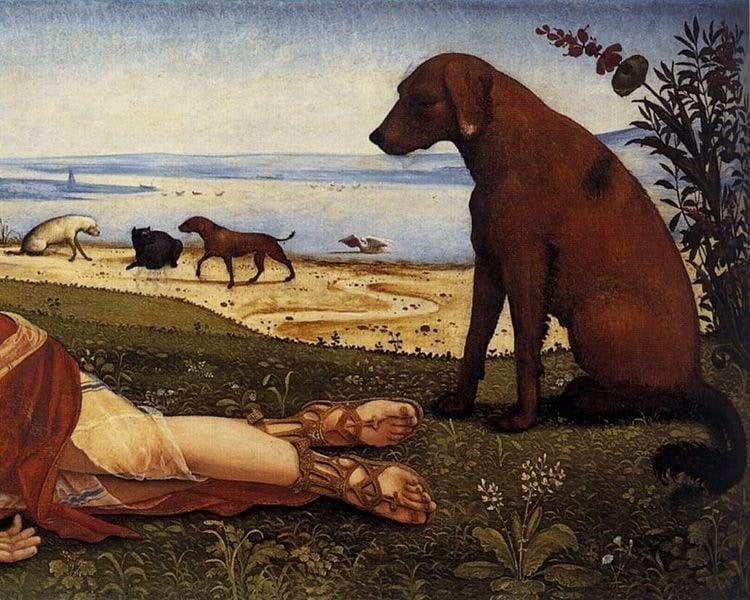 A constelação representa o cão de caça de Órion. Na mitologia grega, ele acompanha o caçador Órion no céu e simboliza a lealdade.