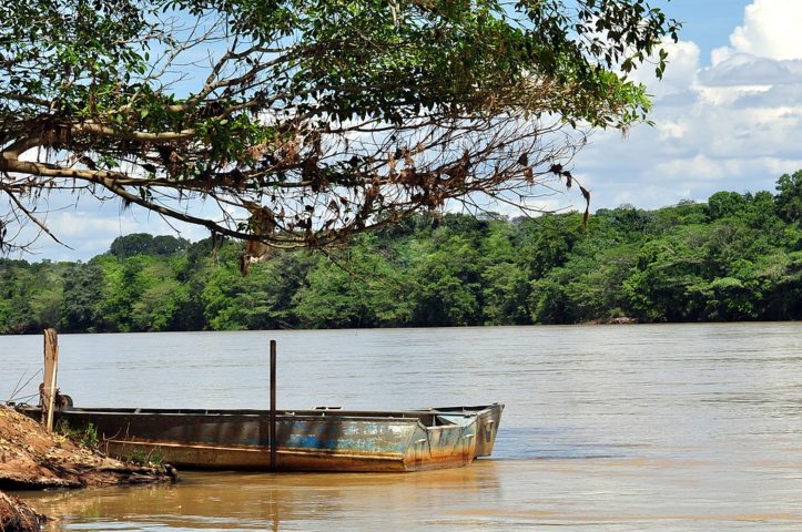 Sua bacia hidrográfica gigantesca abrange uma área de aproximadamente 640.000 km², o equivalente a 7,7% do território brasileiro.