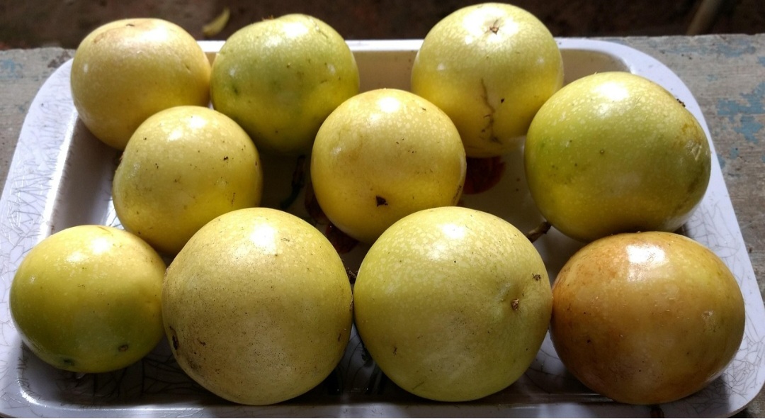 O nome do fruto vem do tupi-guarani e significa alimento em forma de cuia. A planta do maracujazeiro, do gênero Passiflora, possui diversas espécies, incluindo o maracujá-amarelo, maracujá-roxo e maracujá-doce