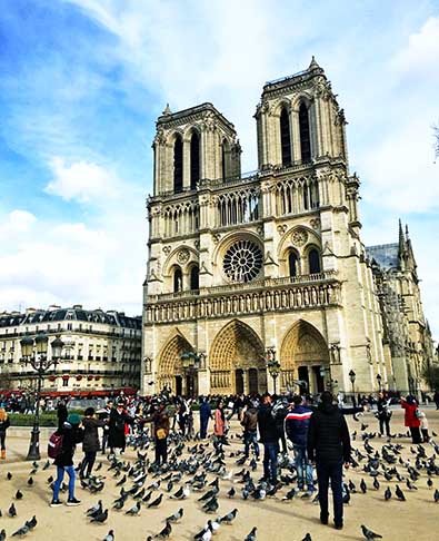 Paris, França (Catedral de Notre-Dame)Pombos, aves - Flickr HJD Three