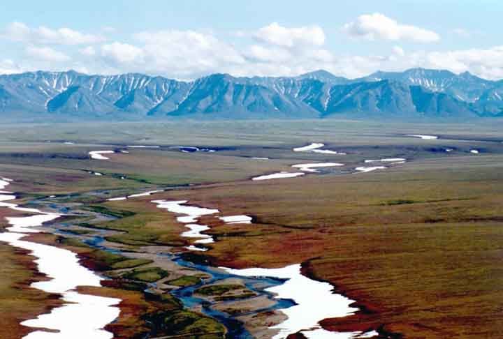 Com uma paisagem dominada por montanhas, geleiras, florestas e tundras, o Alasca abriga algumas das áreas selvagens mais intocadas do mundo.