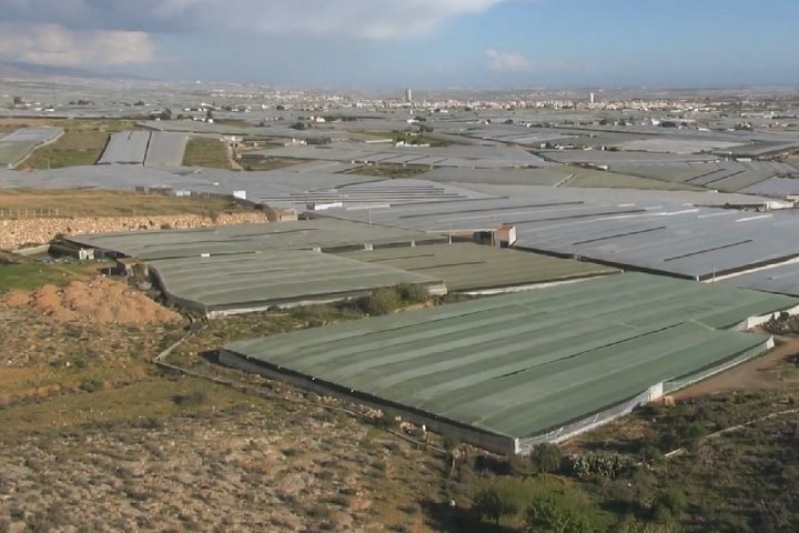 Assim, o “Mar de Plástico” é visto ao mesmo tempo como um exemplo de inovação agrícola capaz de alimentar boa parte da Europa e como um modelo de produção intensiva que gera graves impactos sociais e ambientais.