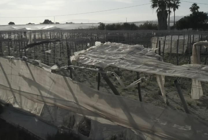 Ambientalistas e organizações sociais defendem a necessidade de uma transição para um modelo menos intensivo, mais sustentável e com melhores condições trabalhistas para garantir o futuro da região.