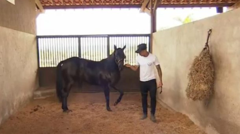 Apesar de reservada, a 'versão extracampo' do artilheiro do Brasileirão também lida com rumores de affair com uma influenciadora famosa 