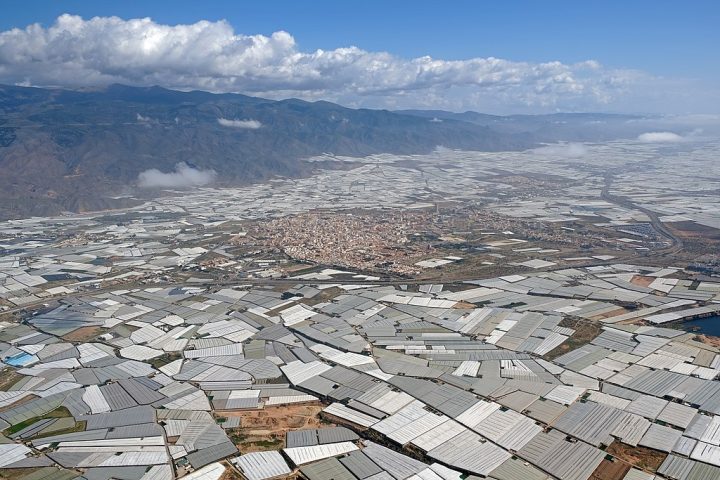 Muitos vivem em condições precárias, sem contratos formais, sem acesso a moradia adequada, água ou eletricidade, e enfrentam exploração laboral, discriminação e tensões raciais.