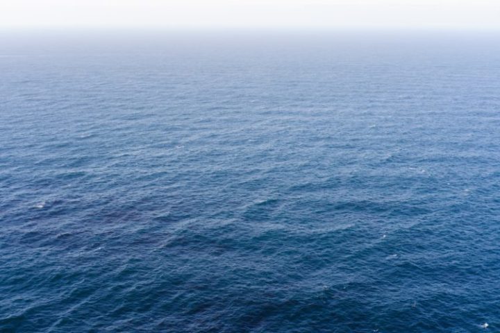 Uma expedição realizada no Oceano Pacífico revelou 13 embarcações naufragadas da Segunda Guerra Mundial.