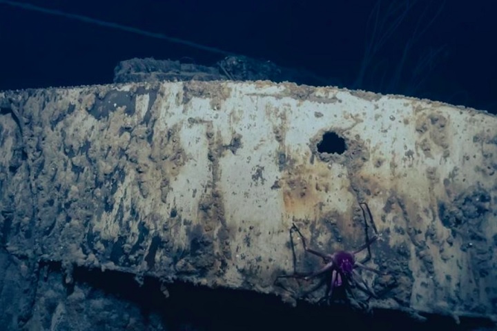 Já o cientista-chefe do OET, Dr. Daniel Wagner, destacou a importância de continuar estudando os mistérios do oceano: “Essas descobertas mostram quantas histórias ainda estão escondidas nas profundezas do mar, esperando para serem contadas.