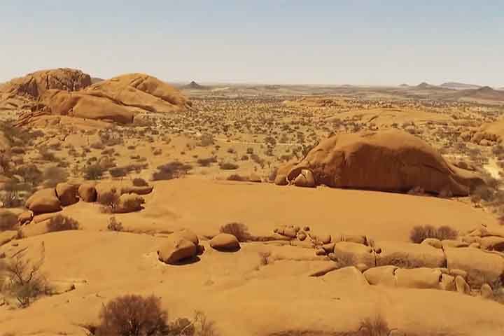 Os indivíduos podem realmente encontrar esqueletos de todas as descrições: navios, elefantes, baleias e pequenos lagartos, assim como existem restos mortais de tripulantes.