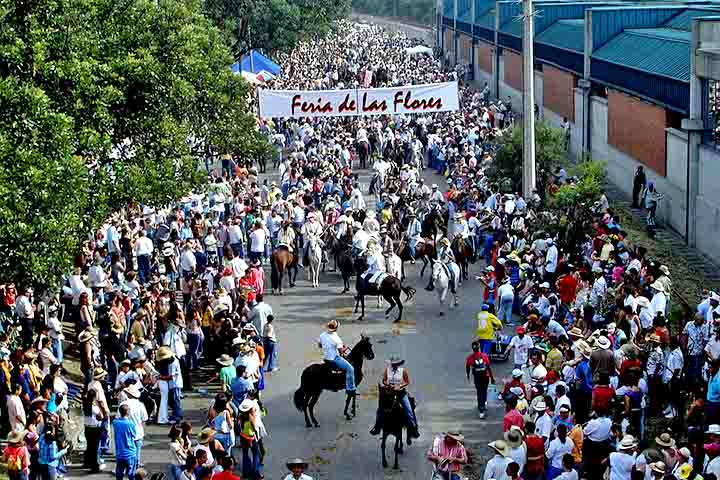 A cidade também realiza eventos consagrados, como a Feria de las Flores, que movimenta ruas e praças com desfiles, música e atividades tradicionais. Outro destaque é o Festival Internacional de Poesía, que reforça a vocação da cidade como polo criativo e literário.
