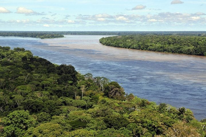 Descoberto em 2010, o rio Hamza percorre os estados do Amazonas, Amapá e Pará, desaguando no Atlântico.