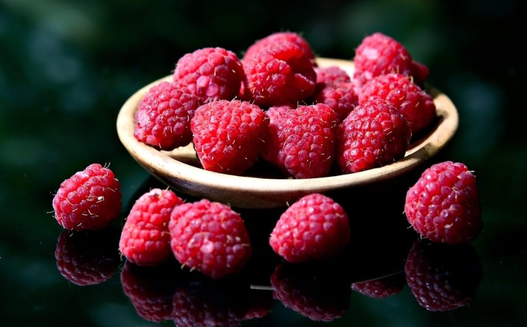 Chamativas e saborosas, as frutas vermelhas despertam a atenção por suas cores vivas e gosto intenso. Apesar de bem pequena, a framboesa traz inúmeros benefícios à saúde, sendo fonte de fibras, minerais, vitaminas, compostos bioativos e antioxidantes.