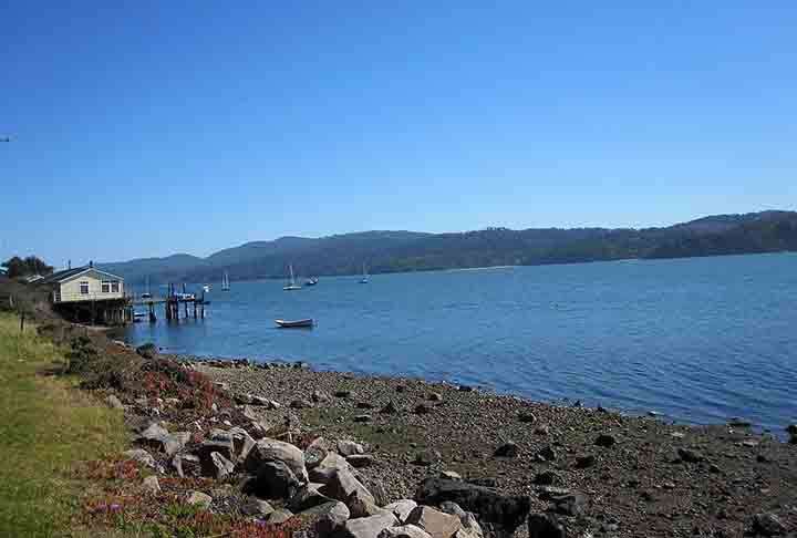 Baía de Tamales, EUA: Conhecida por sua biodiversidade, essa baía é um importante local de pesca e recreação na Califórnia.