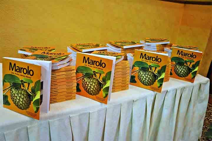 Com suas características versáteis, o marolo pode ser consumido in natura ou usado em receitas como licores, doces, tortas, geleias, sucos, sorvetes e iogurtes.