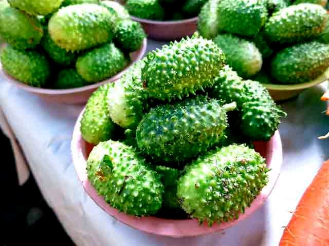 É essencial lavar bem o maxixe antes do consumo para remover quaisquer resíduos de pesticidas ou sujeira. Entre os cuidados, é melhor optar por produtos orgânicos, que podem minimizar a exposição a produtos químicos.