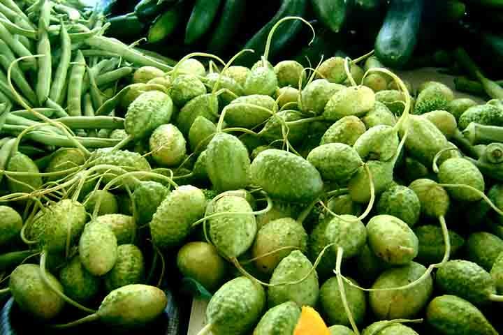 Os diferentes tipos de maxixe são o do reino, ou peruano, o paulista ou o do Pará, que se diferenciam principalmente quanto às suas cascas, que são lisas ou espinhosas. 