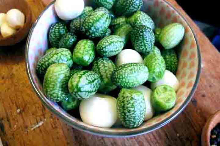 O maxixe é rico em minerais como cálcio e magnésio, que são fundamentais para a saúde óssea e ajudam a prevenir a osteoporose. 