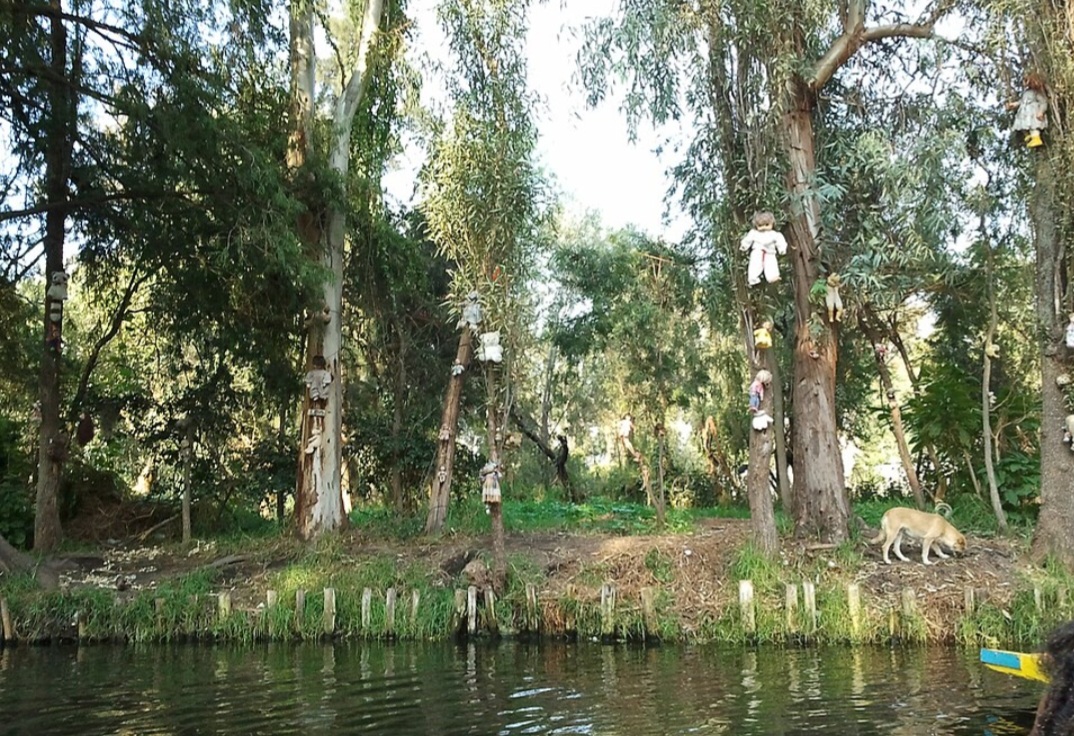 Criada por Julián Santana em 1950, tornou-se um famoso ponto de turismo e inspirou lendas urbanas. Consta que ele encontrou o corpo de uma menina afogada e acreditava que pendurar as bonecas apaziguaria o espírito da criança e afastaria maus espíritos da ilha.