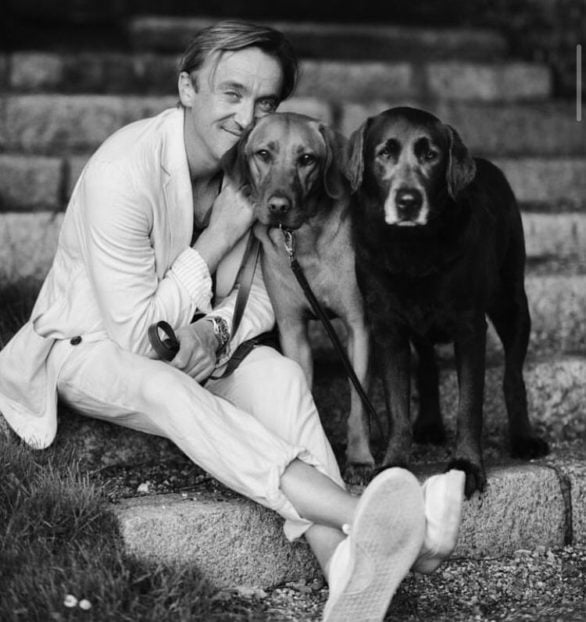 Felton também é apaixonado por cachorros e vive postando fotos dos seus labradores retriever.