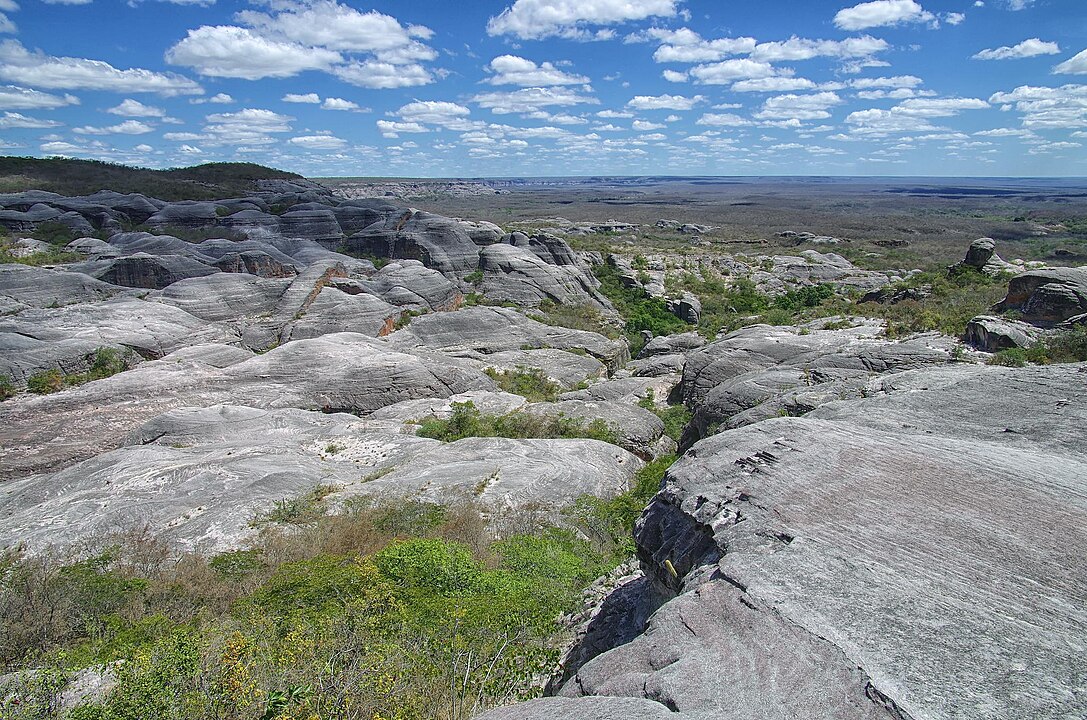 O Parque Nacional da Serra das Confusões, onde estava o esqueleto, foi criado em 1998, fica no sudoeste do Piauí e abrange 12 municípios.  É um dos locais de natureza protegida do estado. 