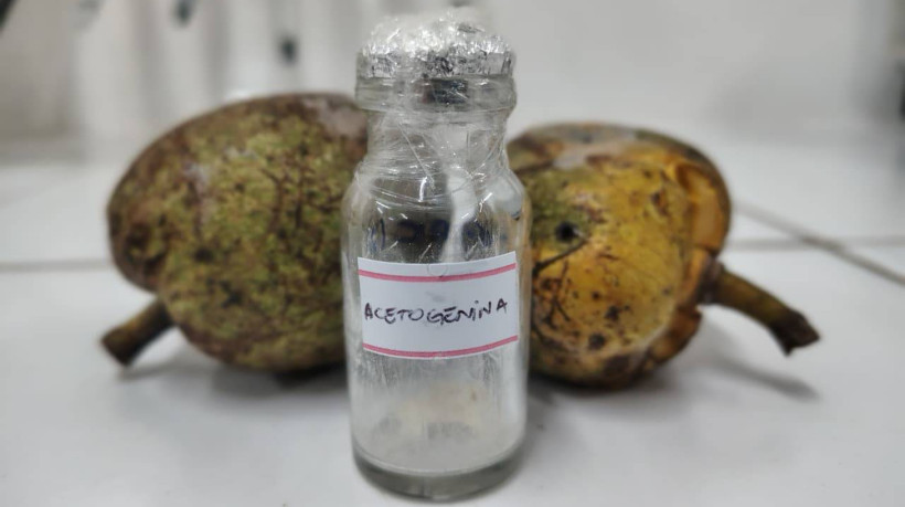 Araticum do brejo e acetogeninas.