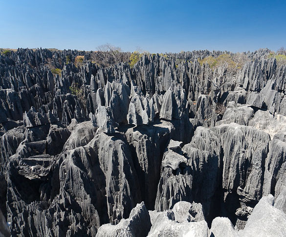 Tsingy de Bemahara (Madagascar) - Este planalto de calcário de 1.500 km² é formado por uma densa floresta, permeada por rochas pontiagudas, esculpidas pela erosão em milhares de anos, com picos que chegam a 100 metros de altura. Tem várias espécies de pássaros e lêmures característicos da região. 