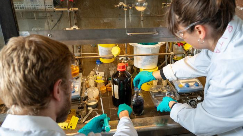 Segundo a pesquisa, o novo método é adequado para plástico pet de baixa qualidade, colorido, misturado ou já decomposto, que é difícil de reciclar por outros meios