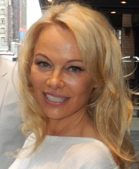 Seus romances envolveram traições, violência doméstica e crises de ciúmes de companheiros. Anderson teve dois filhos com o primeiro marido, Tommy Lee, baterista da banda Mötley Crüe.