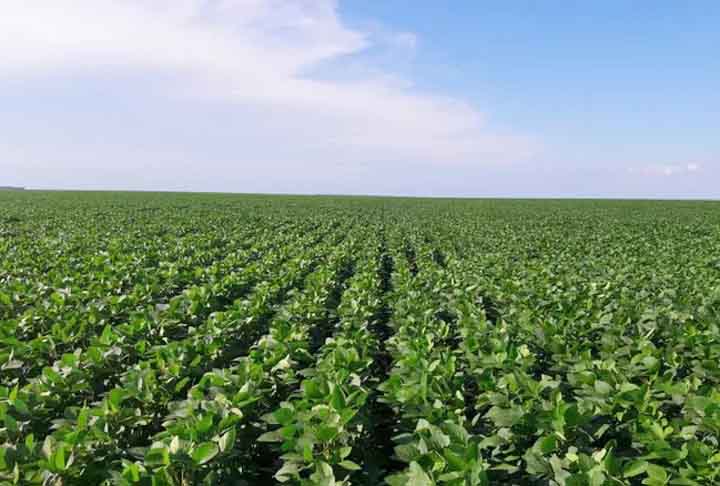 A divisão facilitava a organização agrícola, religiosa e administrativa, refletindo as mudanças das estações e as necessidades da sociedade.