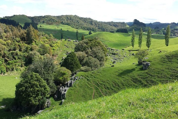 O acampamento de Phillips com os filhos foi encontrado na região de Waikato, área conhecida por suas vastas planícies e pela forte tradição agropecuária, especialmente na produção de leite.