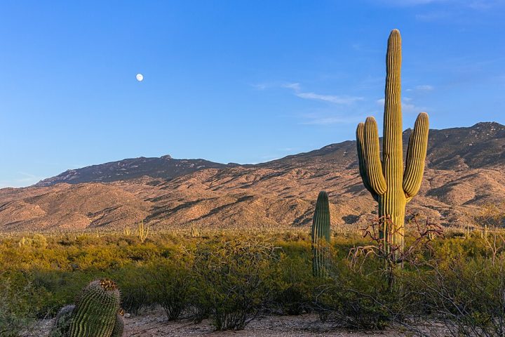 O registro foi feito no dia 15 de junho no Deserto de Sonora, nos Estados Unidos, local conhecido pelas boas condições para a observação espacial.