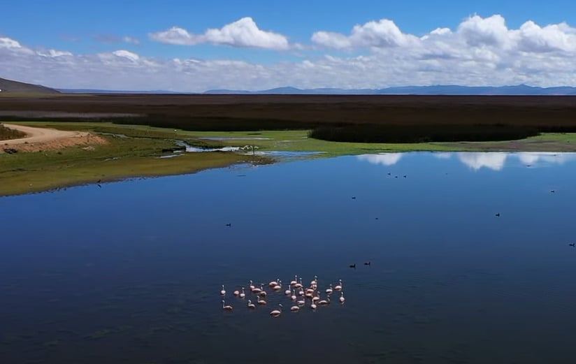 Situado na região andina do Peru, o Lago Junín é o segundo maior lago do país, atrás apenas do Titicaca (veja adiante). Com uma vasta área de pântanos, é um importante habitat para aves aquáticas e outras espécies endêmicas.