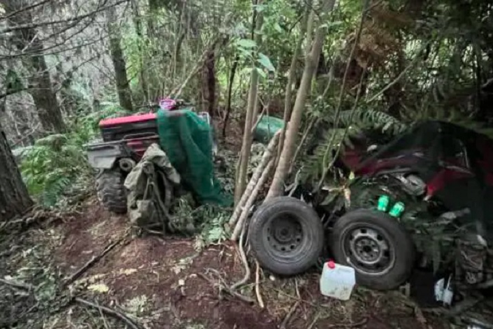 Diante da imprensa, o comissário de polícia Richard Chambers disse que Phillips não teve qualquer consideração pela segurança das crianças e literalmente colocou-as em perigo.